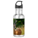 Buscar deer agua botellas Vida silvestre