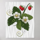 Buscar organic posters Botanical