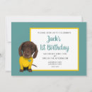 Buscar dachshund invitaciones Niño
