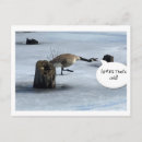 Buscar gansos canadienses postales Invierno