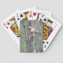 Buscar monos lindos barajas de cartas Vida silvestre