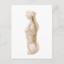 Buscar columna vertebral postales Médico