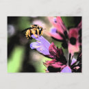 Buscar flora y fauna postales Amarillo