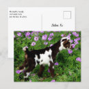 Buscar nigeriano postales Animal