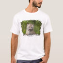 Buscar lince camisetas Naturaleza