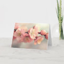 Buscar flores de cerezo japonesas tarjetas Primavera