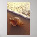 Buscar isla de maui posters Playa