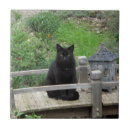 Buscar gato negro azulejos General y unisex