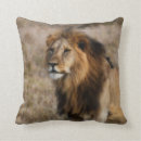Buscar leones africanos cojines León