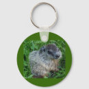 Buscar franqueo accesorios Naturaleza