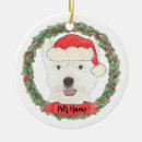 Buscar westie casa hogar Madre