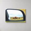 Buscar vacas lienzos Granja