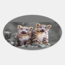 Buscar onza pegatinas Leopardo