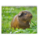 Buscar roedor calendarios Fotografía