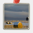 Buscar balas adornos Granja