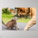 Buscar pares lindos posters Perro
