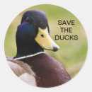 Buscar patas pegatinas Animales