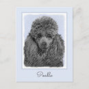 Buscar caniche postales Cachorro