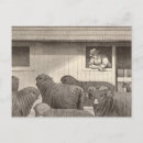 Buscar merino postales Agricultura