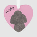 Buscar caniche estándar adornos Navidades