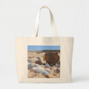 Buscar casas de playa bolsos Conchas