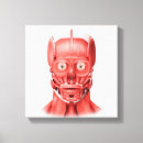 Buscar rostro humano Partes del cuerpo humanas