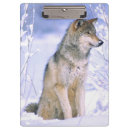 Buscar lobo gris libretas Canis lupus