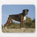Buscar canina alfombrillas de raton Perro
