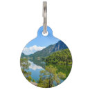 Buscar paisaje collares Bosque