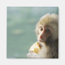 Buscar taiwan imanes Exterior