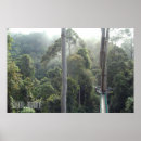 Buscar selva tropical posters Para él