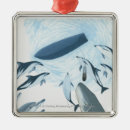 Buscar delfín adornos Náutico