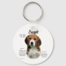 Buscar amor del perro beagle llaveros Aguijón
