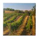 Buscar viñedos azulejos Campo