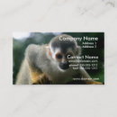 Buscar primate tarjetas de visita Monos