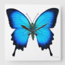 Buscar mariposa azul relojes de pared Para todos