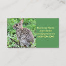 Buscar conejitos tarjetas de visita Adorable