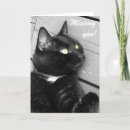Buscar gato blanco y negro tarjetas Animales