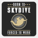 Buscar skydiving pegatinas Caída libre