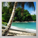 Buscar holiday arte Summer