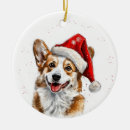 Buscar corgi adornos Familia