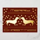 Buscar dachshunds tarjetas Doxie