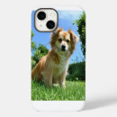 Buscar cachorros iphone fundas Animales lindos