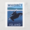 Buscar whidbey Lantern