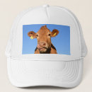 Buscar nariz gorras Divertido