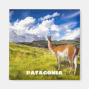 Buscar patagonia imanes Torres del paine