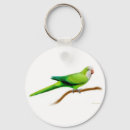 Buscar parakeet llaveros Verde