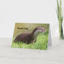 Buscar otter tarjetas Mamífero