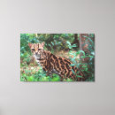 Buscar ocelot arte Animal
