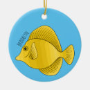 Buscar tangas adornos General y unisex